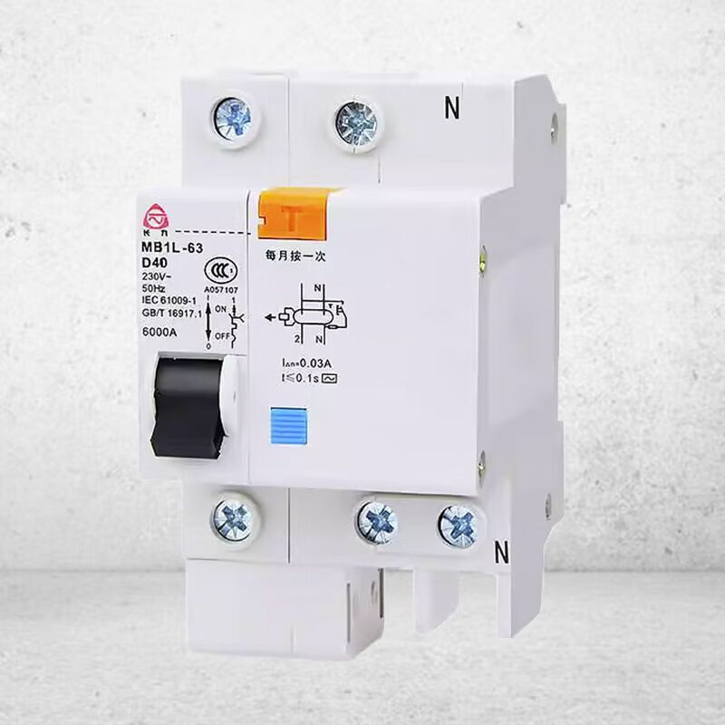 Shantou Lincun Guizhou Taiyong Changzheng Changjiu small leakage circuit breaker MB1L-63C/D micro air switch 16A 2P
