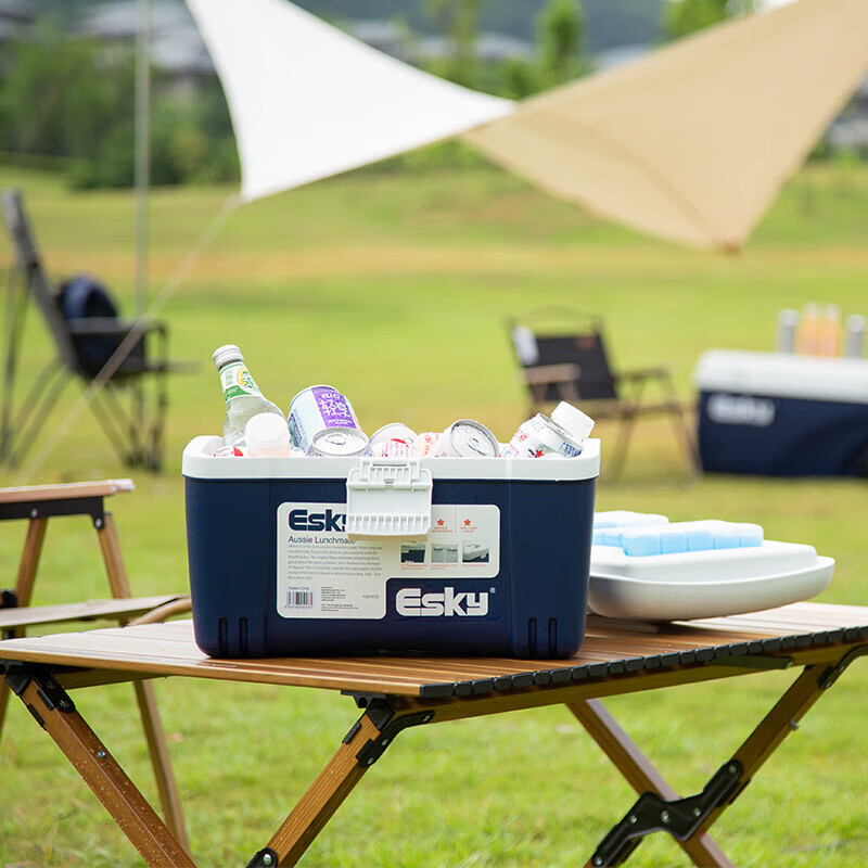 Eski insulated box car refrigerator 12L outdoor refrigerated stall commercial 6L medical portable car home dual-use trunk 12L-PU material (with ice brick 2)