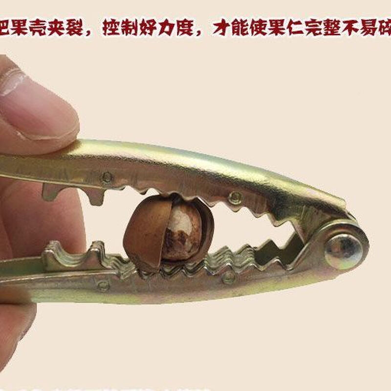 Special pine nut hazelnut clamp nut pliers pine nut pecan clamp dried fruit opener pliers household nut pliers 2 thickened