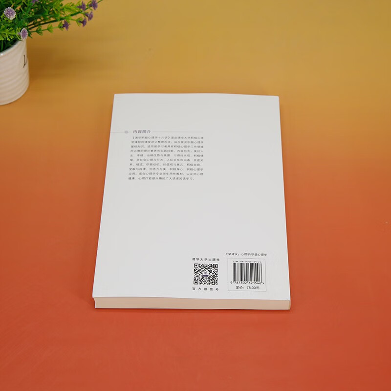 Tsinghua Positive Psychology Lecture 16