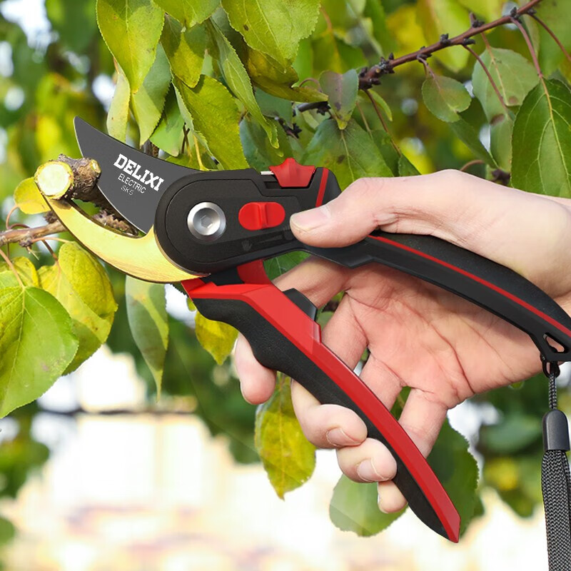 DELIXI ELECTRIC gardening scissors, special scissors for cutting branches, floral scissors, garden fruit tree pruning shears, two-color handle
