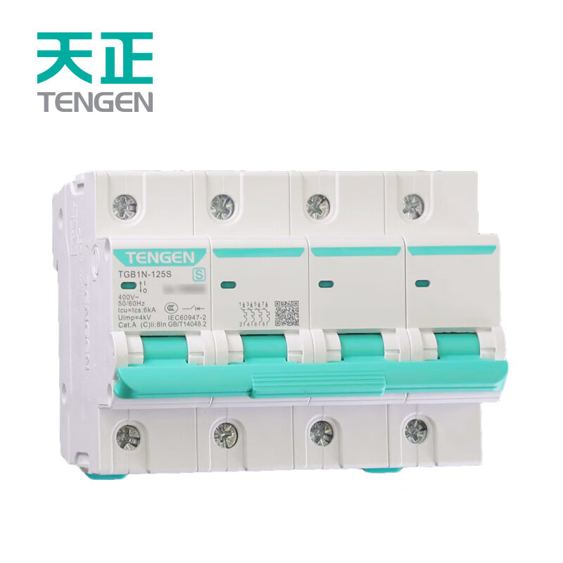 Tianzheng Electric air switch small circuit breaker overload protection TGB1N air switch 125 frame 4P 125 C100