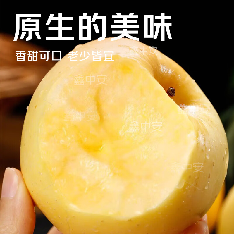 Jingmi Golden Venus Apple Fruit Fresh from Shandong, net weight 5 pounds, single fruit starting from 150g, straight from the source