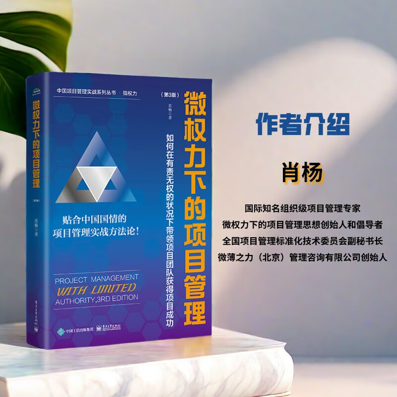 Project management under micro-power: How to lead the project team to achieve project success under a situation of responsibility but no authority (3rd edition)