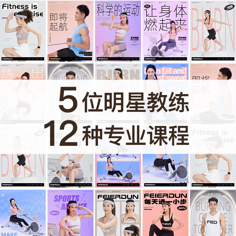 FEIERDUN fed super fat-burning smart rowing machine home training magnetically controlled silent rowing machine sports Danqing gray smart professional version 32-speed intelligent adjustment