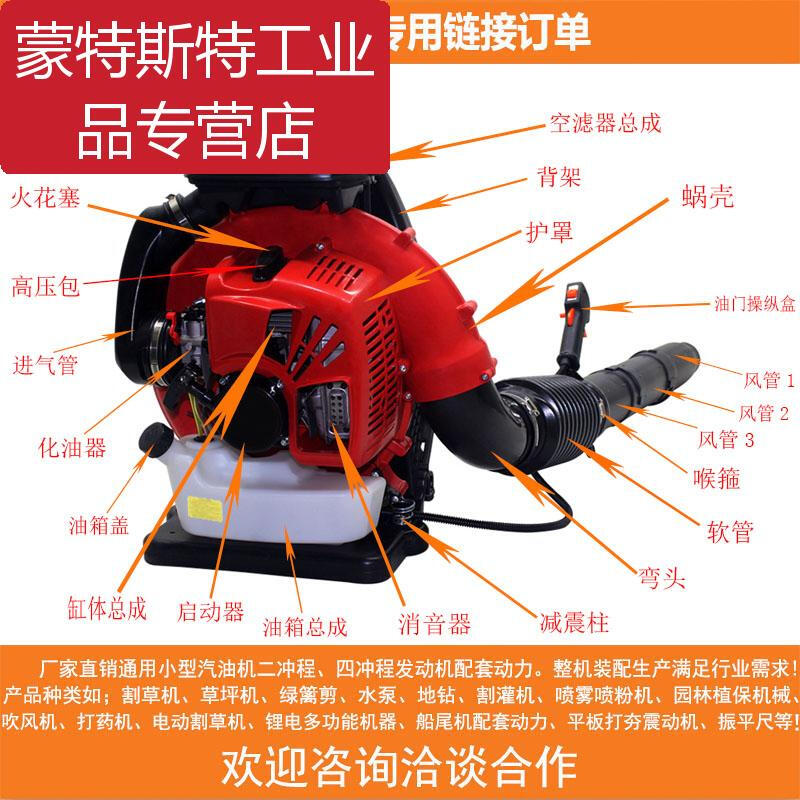 Hair dryer accessories gasoline engine greenhouse blowing snow and fallen leaves backpack forest firefighting wind fire extinguisher high power 151 bare metal