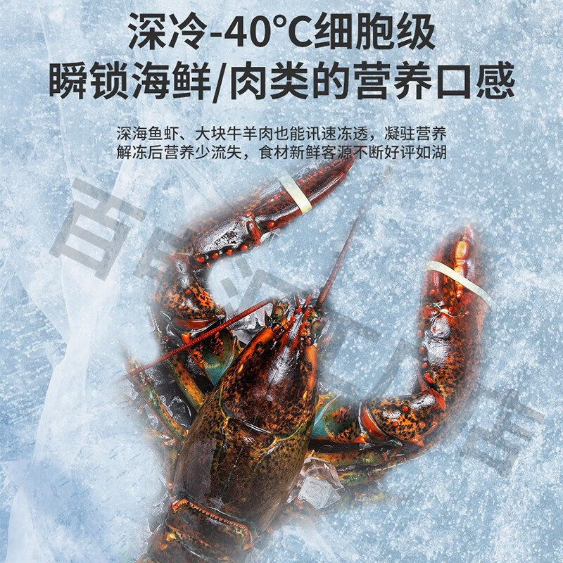 XINGX commercial horizontal quick-freezing freezer, deep-freezing and quick-freezing - 40 degrees electronic precision temperature control refrigeration and freezing large capacity refrigerator BD/BC-718SD丨-40 degrees丨1 meter 95