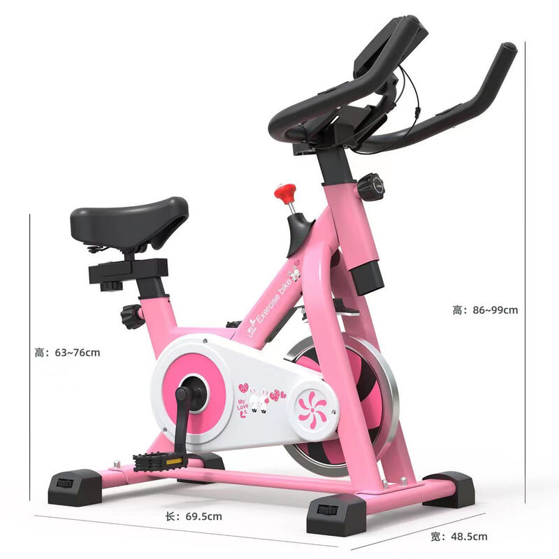 He Jiagong children's dynamic bicycle exercise fitness equipment indoor home silent pedal bicycle for men pink (standard version)