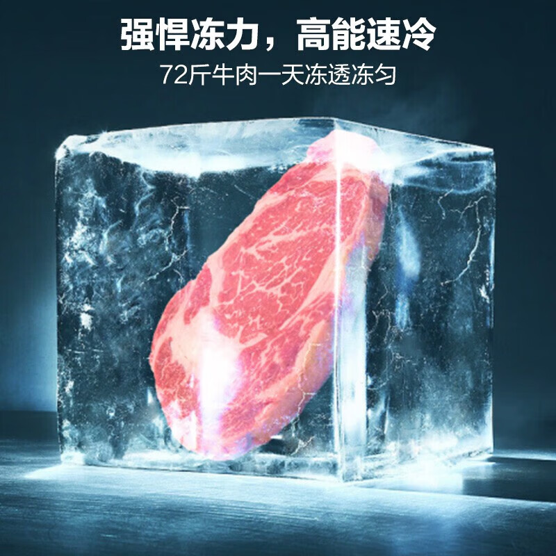 Midea Freezer Summer Frost Reduction Deep Cooling Fresh Lock Home Small Freezer Small Freezer Rental First-Class Energy-Saving and Odor-Free Refrigeration and Freezing Dual-Purpose Conversion Freezer BD/BC-300KMB(E) 300L