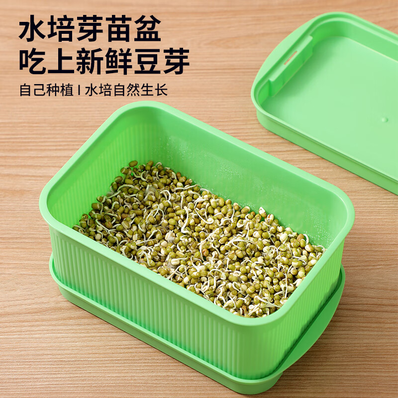 Jackino bean sprout sprouter bean sprout artifact germination pot special seedling tray hydroponic vegetable pot green with lid