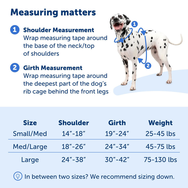 PetSafe pet harness, anti-pull training, full body cushion, 5-point adjustable, suitable for large dogs, nylon blue