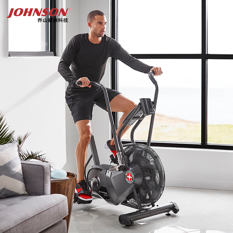 JOHNSON Wind Resistance Spin Bike Schwinn AD6i Fan Bike Belt Low Noise Luxury Home Exercise Bike Black