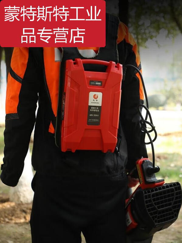 -BT56 lithium hair dryer blows snow in the greenhouse, fire fighting, blows fallen leaves and dust on the road, one charge and one charger.