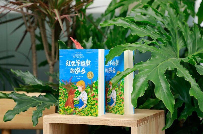 The Hometown of Red Fern, Animal Novels, Inspirational Growth, Extracurricular Readings for Primary School Students, Selection of Classic Children's Books from the World, Children's Literature, 7-14 years old