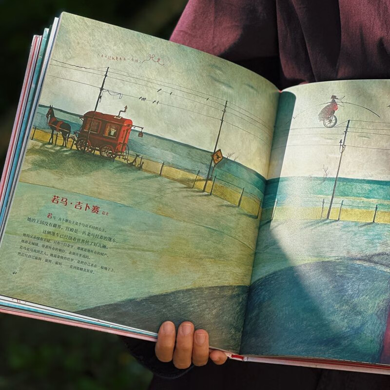 Creative double-cover design The Forgotten Princess, a classic masterpiece by French picture book queen Hebeca, 10th anniversary collector's edition, gift book, Encyclopedia of False Princesses