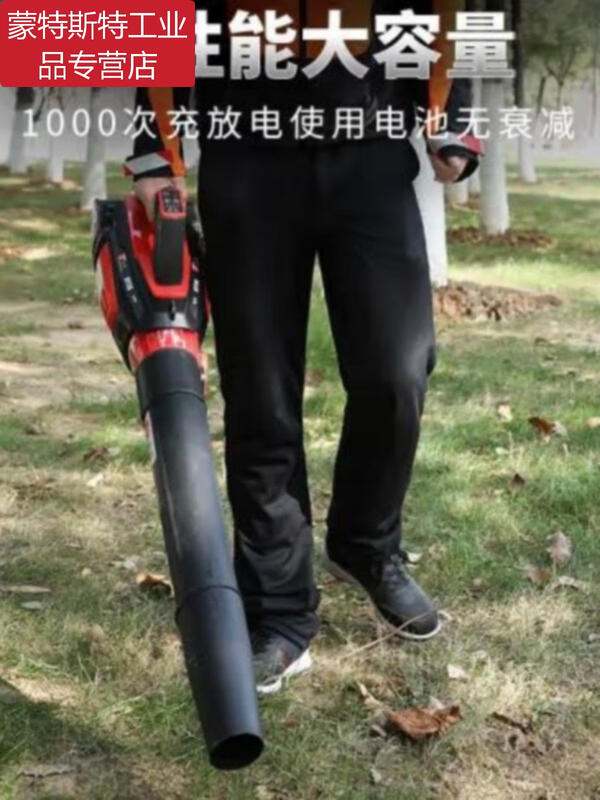 -BT56 lithium hair dryer blows snow in the greenhouse, fire fighting, blows fallen leaves and dust on the road, one charge and one charger.