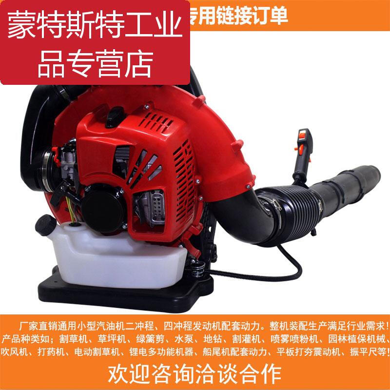 Hair dryer accessories gasoline engine greenhouse blowing snow and fallen leaves backpack forest firefighting wind fire extinguisher high power 151 bare metal
