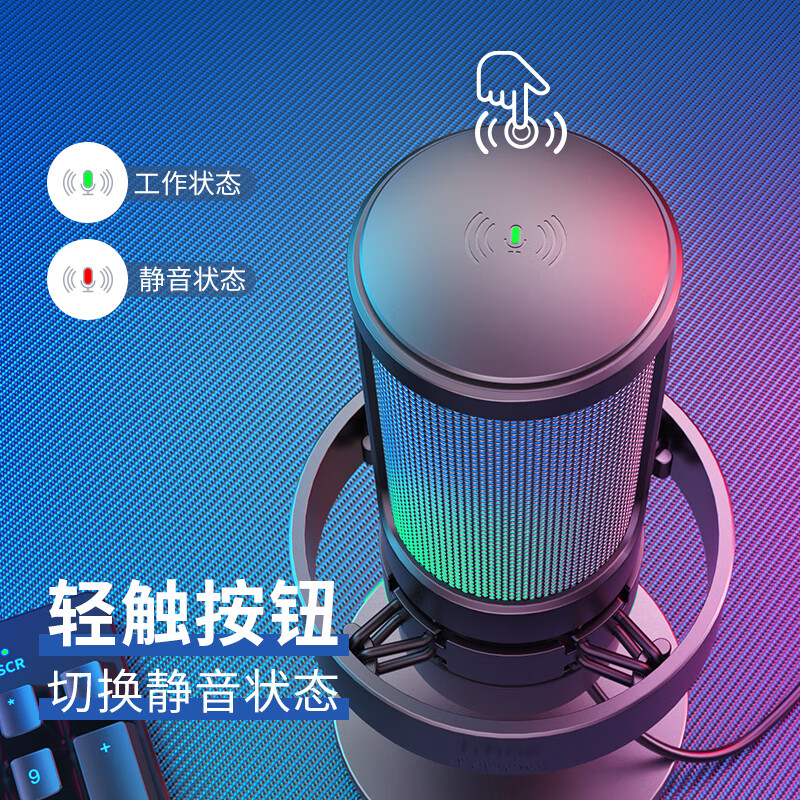 FIFINE microphone live broadcast karaoke singing recording dubbing game voice notebook desktop computer Douyin recording short video online class capacitive noise reduction usb wired microphone A8