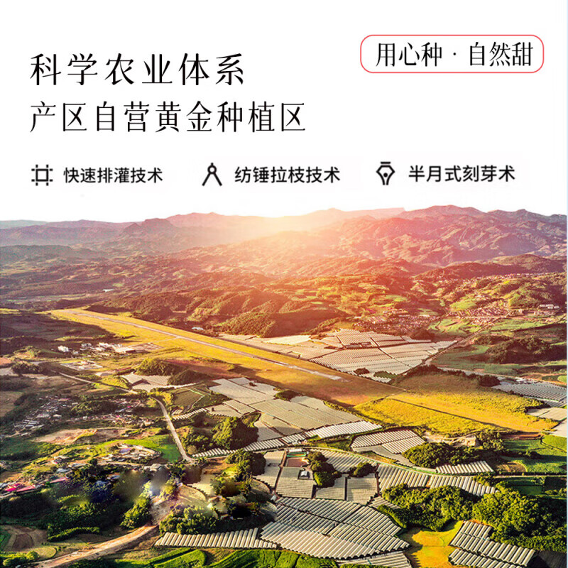 Longqiancai imported cherries from Chile, 4J grade 5kg large cherries, optional, next-day delivery to multiple places, fresh fruit gift box, 2kg gift box containing J-grade high-quality fruits, fruit diameter 26-28mm