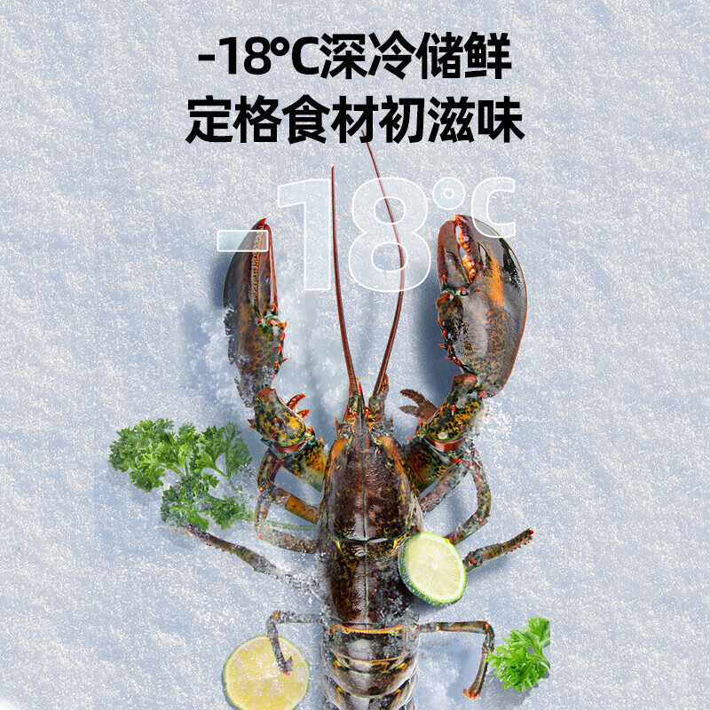 Royalstar Refrigerator Level 1 Energy Efficiency and Energy Saving Home Small and Medium Two-Door Three-Door Thin Refrigerator Freezer and Refrigerator Large Capacity for Rental Dormitory 215 Liter Gray Three Doors Level 1 Energy Efficiency and Power Saving Height 1.56 Meters