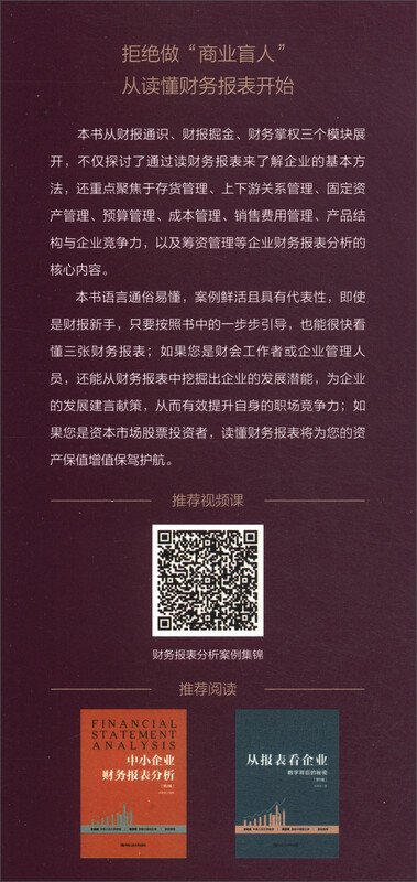 Financial Report Nuggets (2nd Edition)