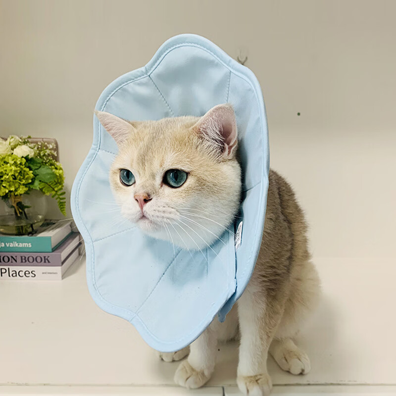 No Pet Macaron Elizabeth Circle Cats and Dogs Universal Waterproof Neck Collar Collar Collar Anti-licking and Bite Neutered Cat Head Cover Blue - Macaron Collar (1 piece) S - Recommended about 3-5 pounds