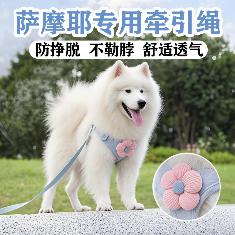 Large dog chest and back leash, Samoyed dog walking chain, outdoor dog harness, vest, pet supplies, retractable dog rope, blue + 5 meters retractable rope, XS shot, recommended 1-6 catties
