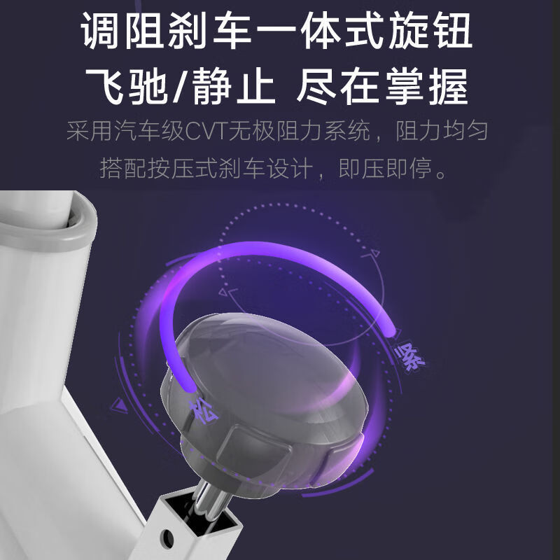 Xiaomi Shi Spinning Bike Home-use Exercise Bike Magnetic Control Silent Fitness Equipment Indoor Bike Black Bold Frame