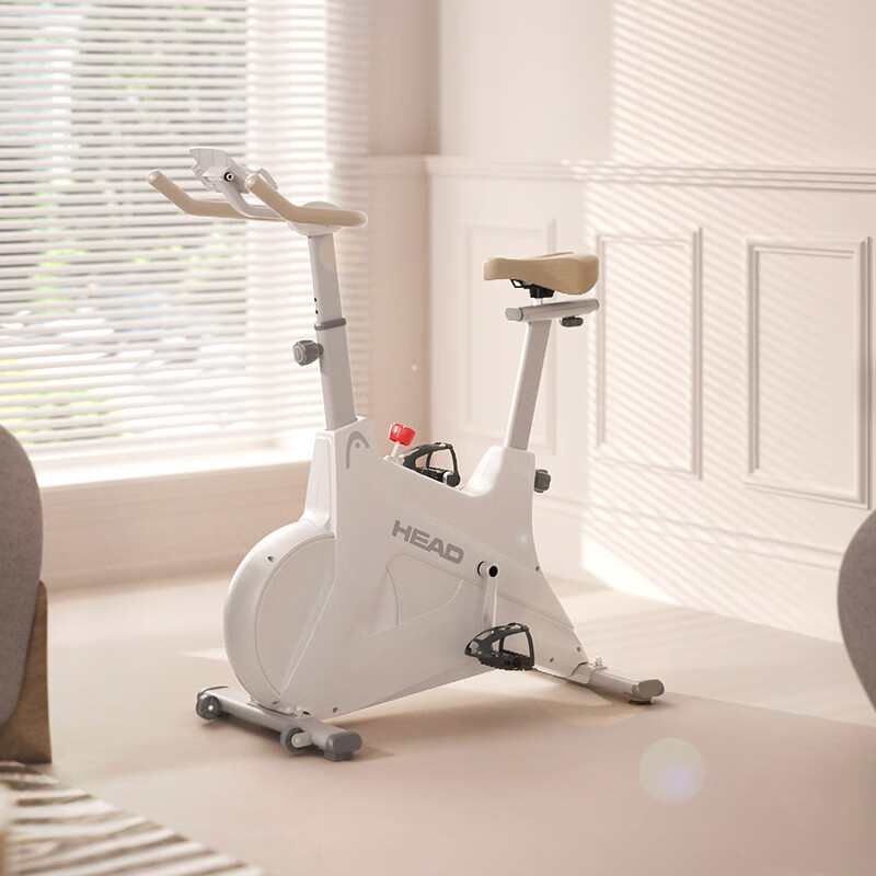 HEAD Home Spinning Bike Small Indoor Equipment Bicycle Occupying Small Exercise Bike White Black Panda-Plug-in Model
