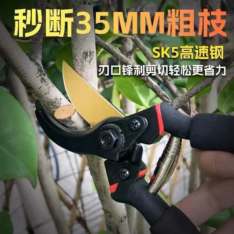 Monthly sales exceed 10,000. Stainless steel pruning shears, steel tree shears, branch pruners, flower branch scissors, dedicated for home gardening. Seiko boutique - pruning like mud + flagship hand guard.