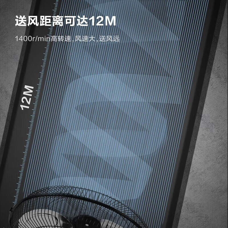 Deli Powerful Floor Fan Large Air Volume Indoor Ventilation Floor Fan (Black) (Taiwan) DL-FE-50-W1