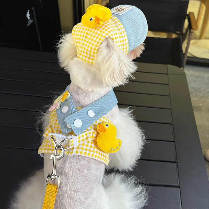 Factory direct supply of clothes, dog leash, small dog pet harness, Maltese Bichon, Yorkshire dog walking harness