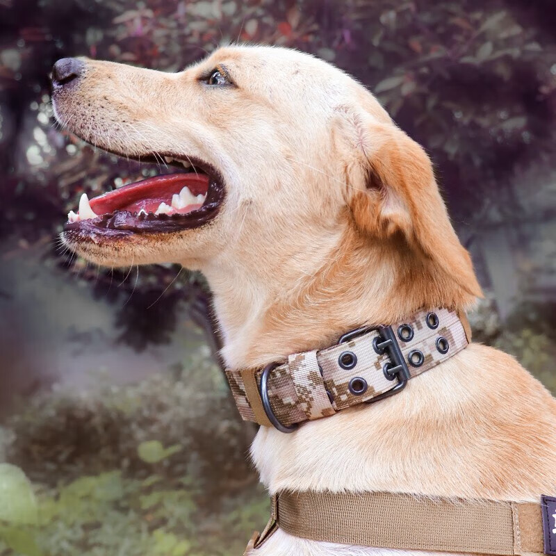 He Jiagong Dog Collar Large Dog Collar Medium Dog Training Outdoor Bulldog Pet Collar Golden Retriever Satsuma Canvas Dog Collar Brown Collar L Size - Recommended Weight 45-65 catties Same Day/Next Day Delivery