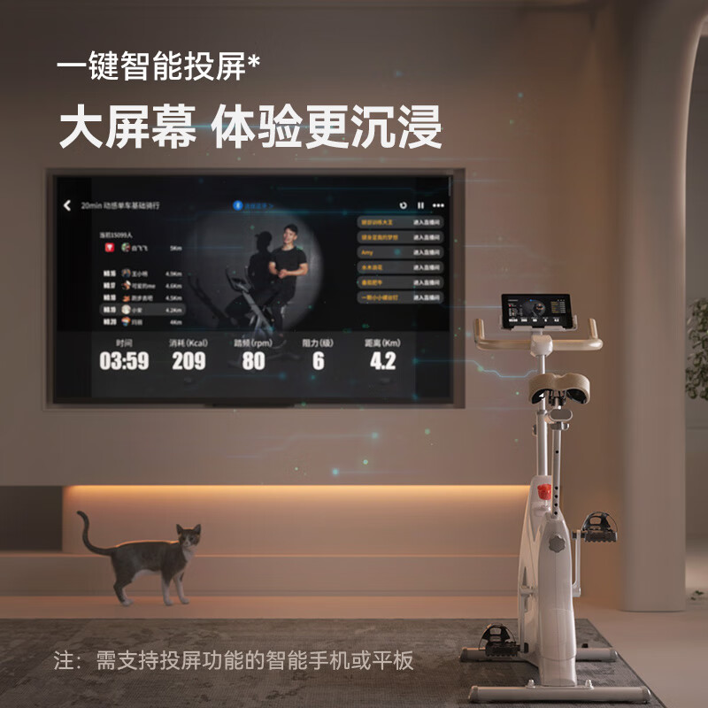 HEAD Home Spinning Bike Small Indoor Equipment Bicycle Occupying Small Exercise Bike White Black Panda-Plug-in Model