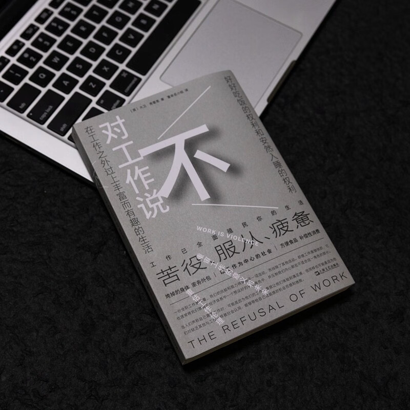 Say no to work (it’s time to challenge the centrality of work! In a work-centered society, staying sane may be a form of madness)