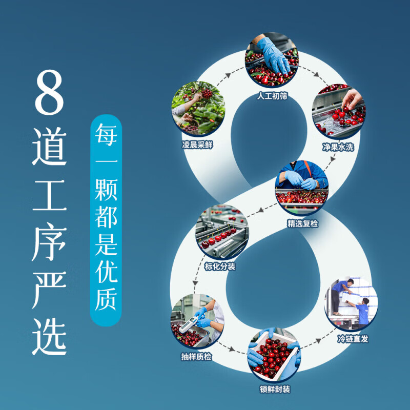 Longqiancai imported cherries from Chile, 4J grade 5kg large cherries, optional, next-day delivery to multiple places, fresh fruit gift box, 2kg gift box containing J-grade high-quality fruits, fruit diameter 26-28mm