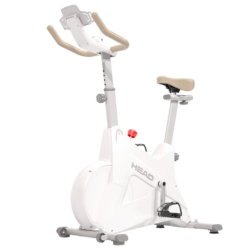 HEAD Home Spinning Bike Small Indoor Equipment Bicycle Occupying Small Exercise Bike White Black Panda-Plug-in Model