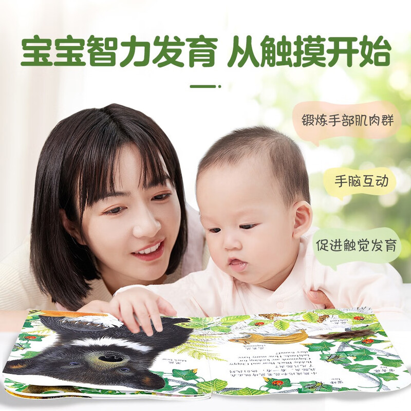 Bright and exquisite touch book, Poppy the Bear, enlightenment simulation touch book for 0-2 years old children, fun children's book, cognitive picture book for young children, extracurricular book money-saving card