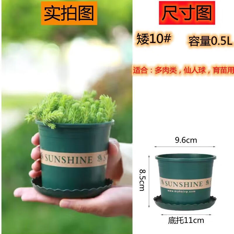 Flower pot plastic wholesale large balcony pothos small potted tray extra large gallon resin succulent pot + tray short and fat No. 1 diameter 15cm 10 pieces