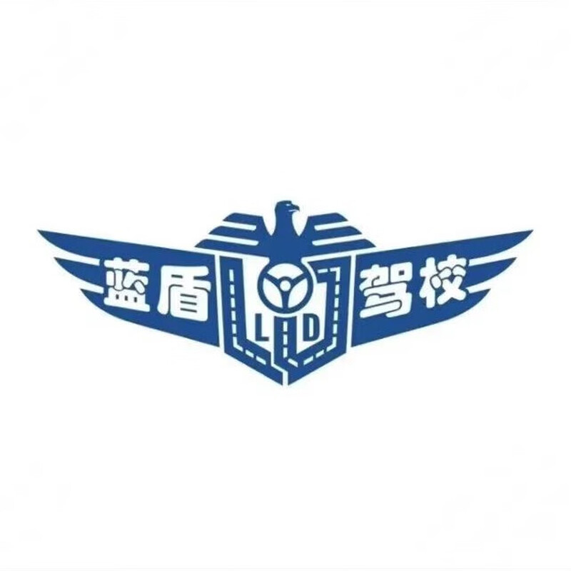 Testing Wuhan Blue Shield Driving School’s automatic transmission for one person and one car