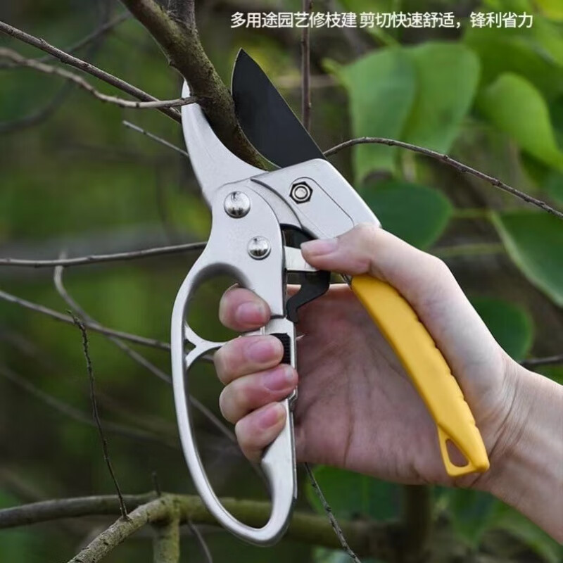 Yeyu fruit tree pruning scissors segmented labor-saving garden pruning branches garden pruning thick branch shears new super sharp ratchet type thick branch shears - silver