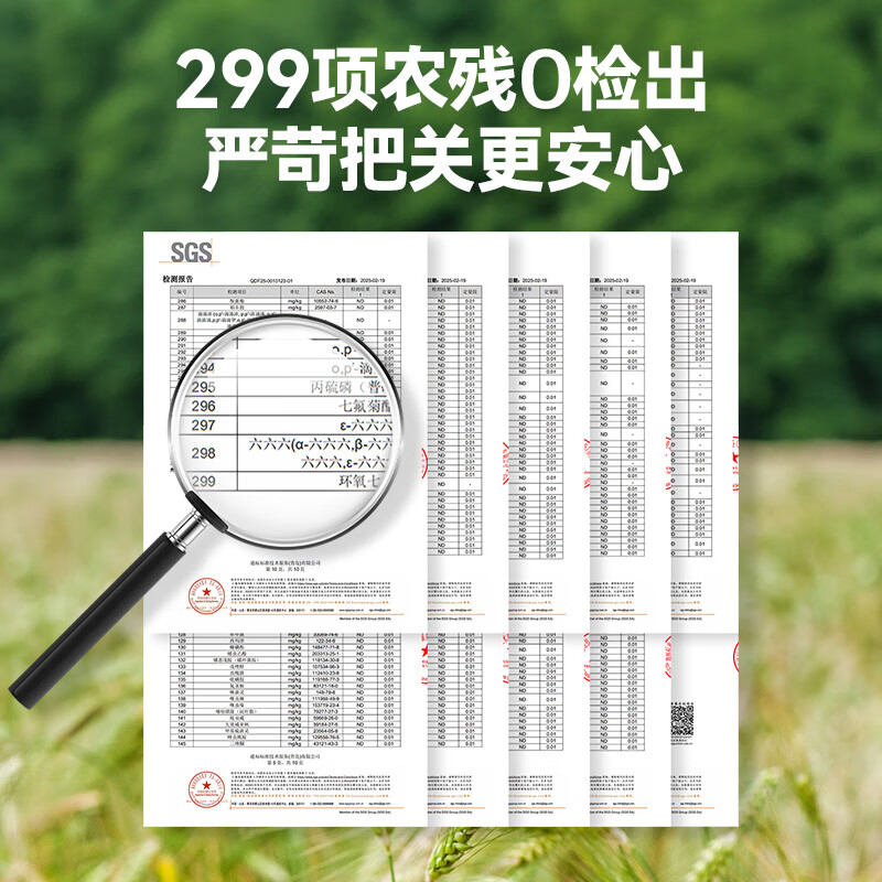 Zhanyi Zhenxuan High-gluten Flour Organic Bread Flour 1kg Household 0-Sodium Wheat Flour Toast Pizza Baking Special Material