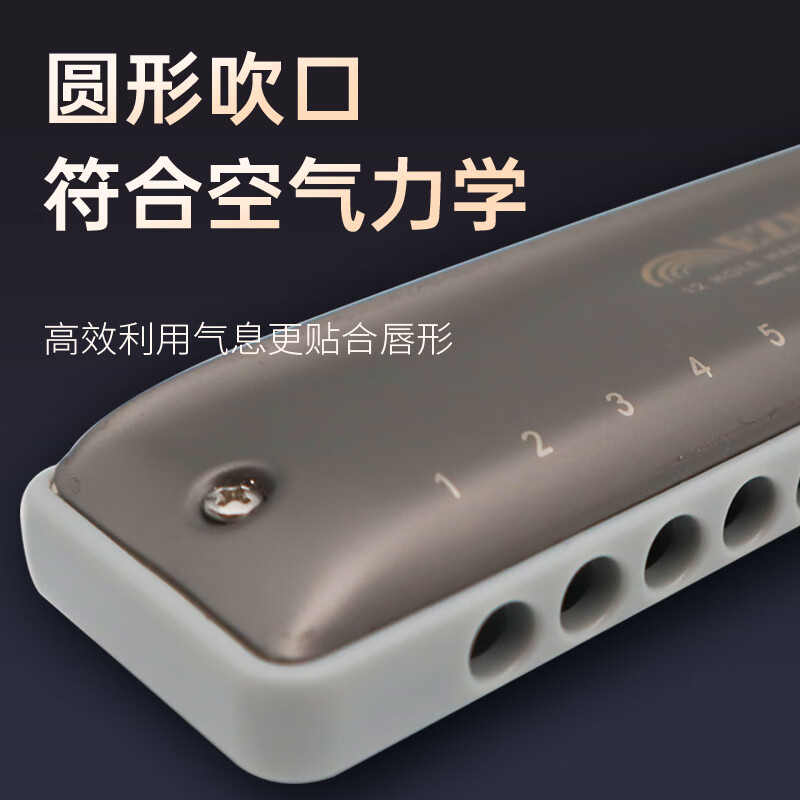 Kongsheng (KONGSHENG) 12-hole C-key diatonic blues harmonica for beginners, children, adults, professional performance grade EZ-12 silver