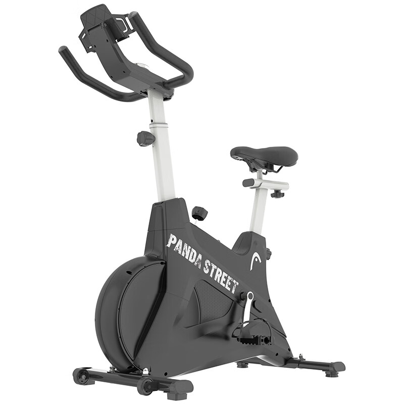 HEAD Home Spinning Bike Small Indoor Equipment Bicycle Occupying Small Exercise Bike White Black Panda-Plug-in Model
