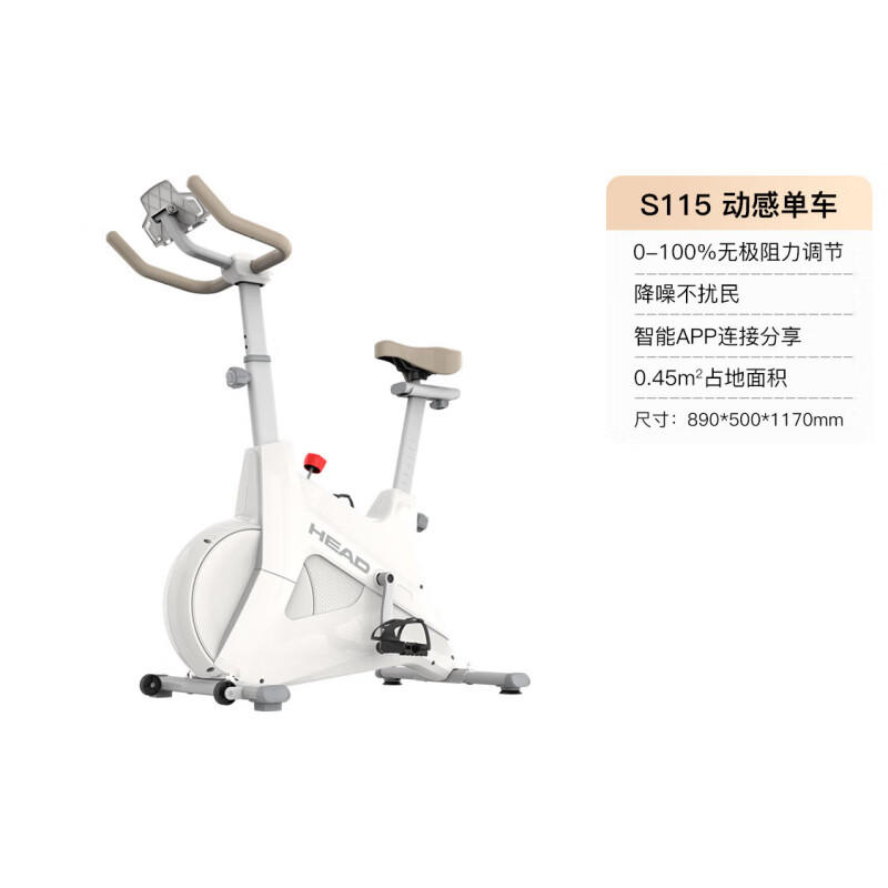 HEAD Home Spinning Bike Small Indoor Equipment Bicycle Occupying Small Exercise Bike White Black Panda-Plug-in Model