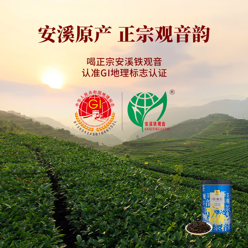 Bama Tea Industry Oolong Tea Anxi Tieguanyin Strong Flavor Type 1st Grade 500g Canned Tea Intangible Inheritance Technology