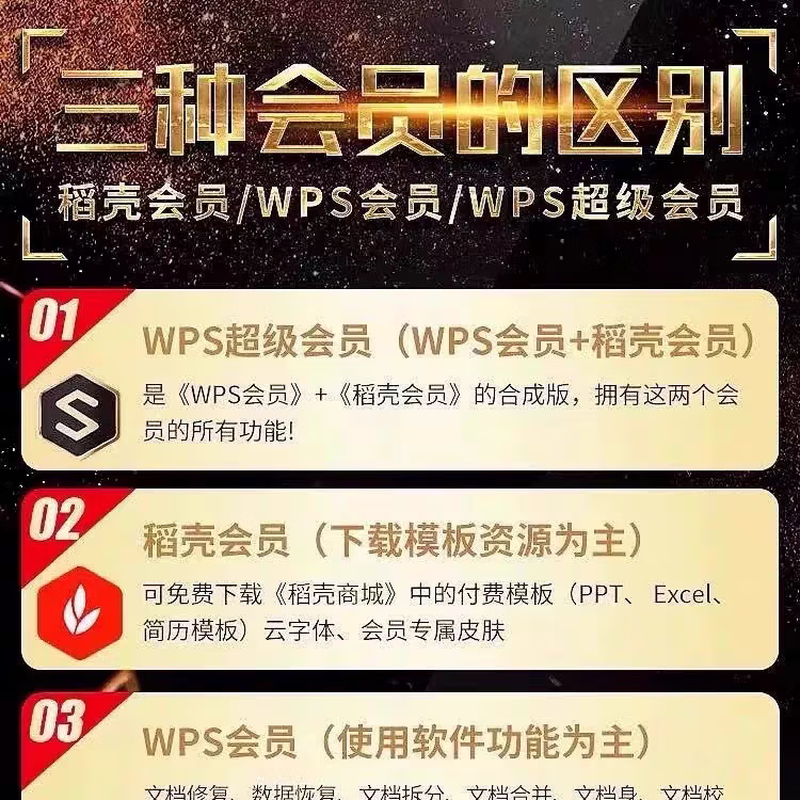 WPS super member one day one month year pdf to word rice husk PPT template personal resume download wps member 1 day sharing