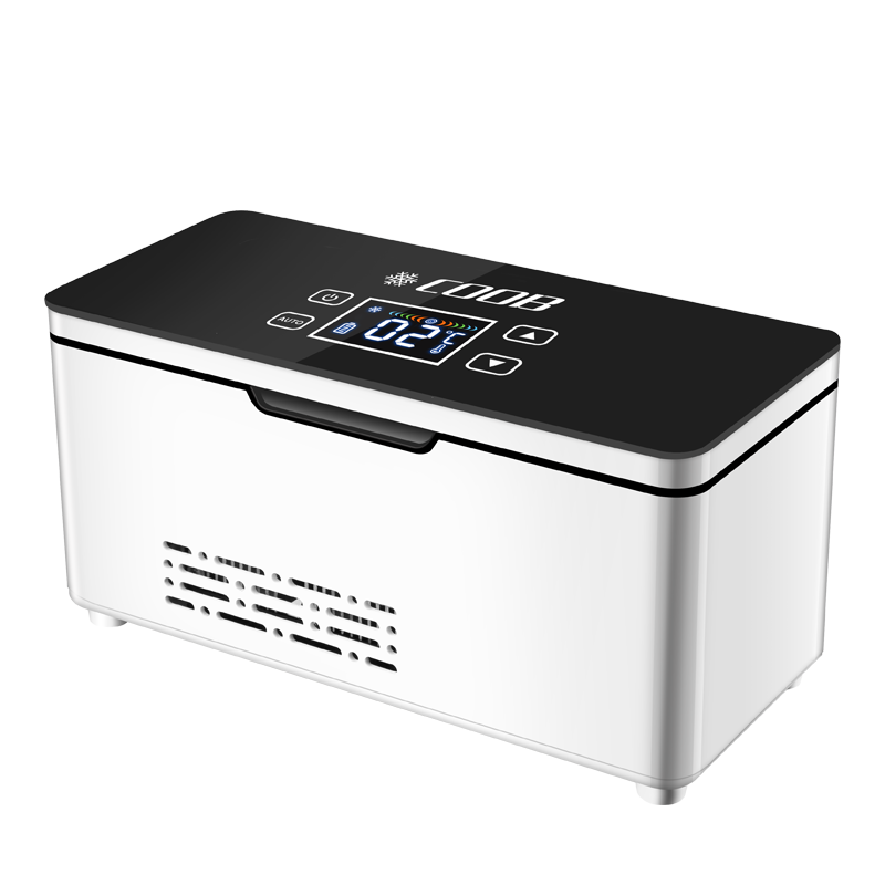 Cuixing Insulin Refrigerator Box Portable Travel Charging Refrigeration Small Refrigerator Car Home Dual-Purpose Medicine Refrigerator Thermostatic Box New Button No Battery Plug-In Use