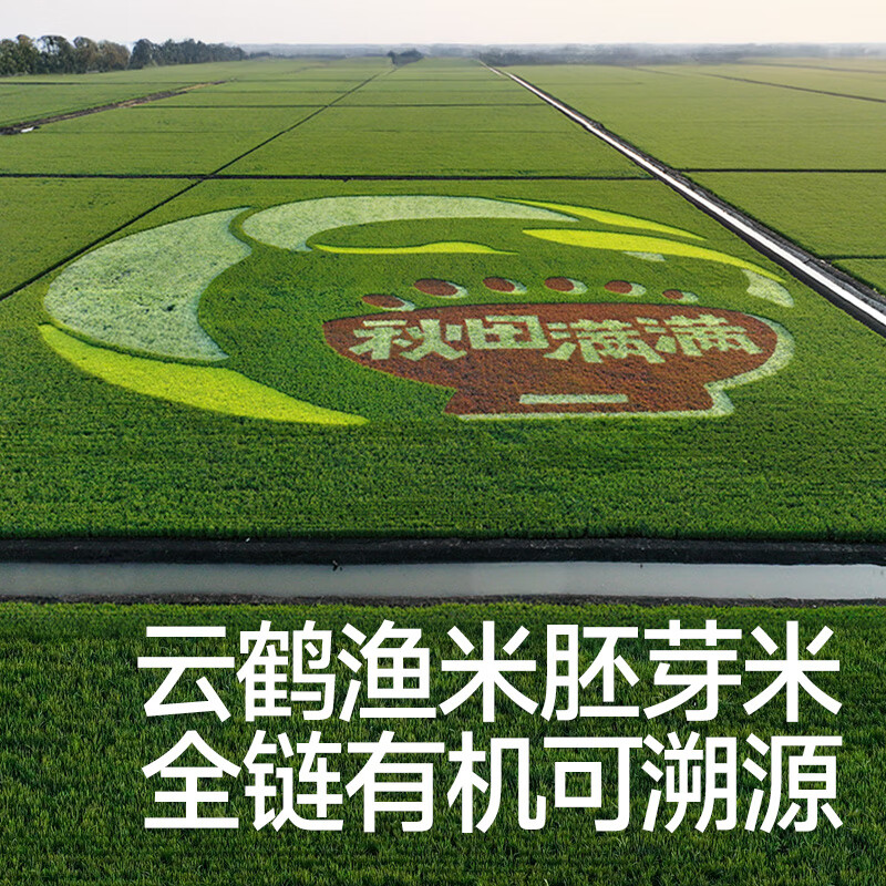 Akita Manman organic germ rice sold in 5 catties (500g*5) Northeastern germ rice children's porridge rice homemade complementary food