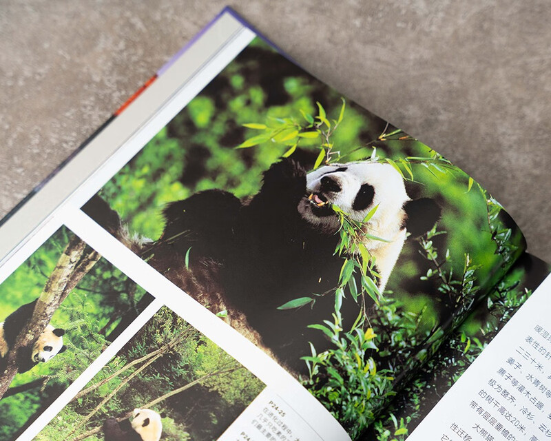 Beautiful Earth National Parks (56 national parks around the world, creating immersive paper documentaries) Book Festival Reading Festival Labor Day Includes China's top five national parks Selected 56 national parks around the world Travel and outdoor Parent-child reading Popular science encyclopedia